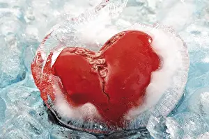Red Heart Symbol Prints: Heart in ice