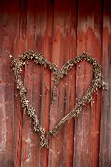 Close Up Heart Symbol Prints: Heart on the wall