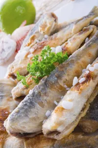 Prints of Herrings Mackerel Prints: Herring School Print