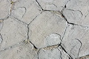 Basalt Columns Prints: Hexagonal pattern on the top surface of basalt columns at Mammoth Lake