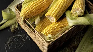 Thai Cuisine Images Prints: High angle fresh corn composition