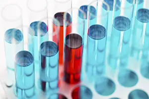 No People In Lab Prints: High angle science elements assortment lab