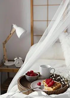 Northern Europe Food Scene Prints: High angle waffle with raspberry plate