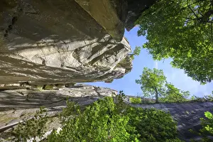 Solitary Tree In Nature Prints: High cliffs and a tree that defies gravity
