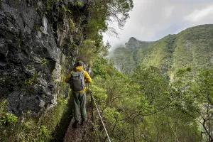Hiking In Madeira Prints: Hikers on a narrow path along a levada