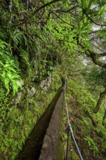 Hiking In Madeira Prints: Hikers on a narrow path along a levada