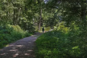 Central Europe Trekking Prints: Hiking, man with backpack, trees