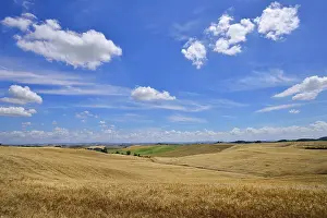 Siena Prints: Hilly Landscape Print with Cornfields and Clouds, Tuscany, Italy