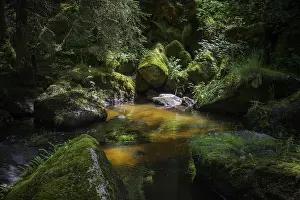 Wild River Scenery Prints: Hollfall, GroBer Kamp