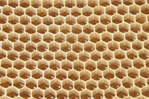 Close Up Honey Prints: Honeycomb