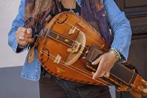 String Instrument Music Prints: Hurdy-gurdy