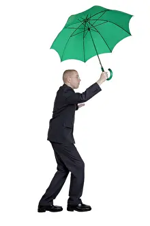 Imagebroker Stock Photo Prints: ibxtlf00723924