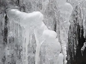 Winter Nature Photography Prints: Ice