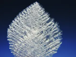 Close Up Ice Prints: Ice crystal