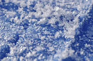 Ice Crystals Prints: Ice crystals
