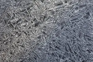Cold Weather Photography Prints: Ice crystals