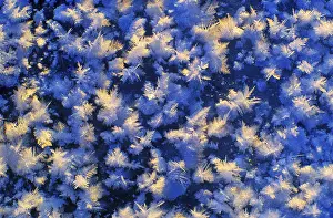 Winter Nature Scene Prints: Ice crystals