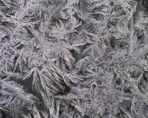 Deserted Window Scene Prints: Ice crystals at a window