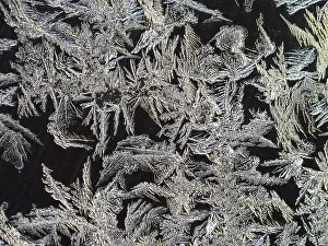 Close Up Ice Crystal Prints: Ice crystals at a window