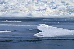 Deserted German Landscape Prints: Ice on the Oder