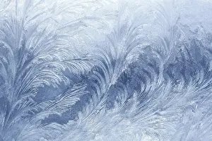 Deserted Winter Scene Prints: Ice patterns on winter glass