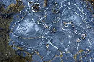 Hesse Winter Landscape Prints: Ice structures in a puddle, Hesse, Germany