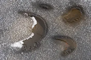 Scandinavian Ice Patterns Prints: Ice structures in a stream, Gallivare