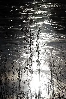 German Winter Scene Prints: Ice, Winter, Germany