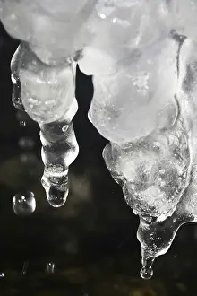 Ice Covered Germany Prints: Ice, Winter, Germany