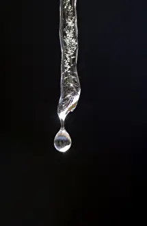 Environmental Protection Tips Prints: Icicle in thaw