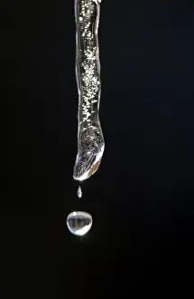 Environmental Protection Tips Prints: Icicle in thaw