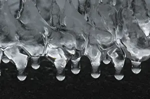 Icicle Close Up Prints: Icicles