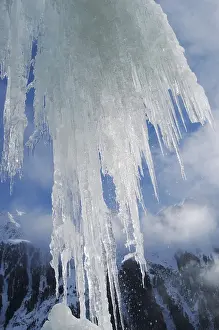 Ice Crystal Formations Prints: Icicles