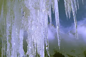Frozen Winter Scene Prints: Icicles