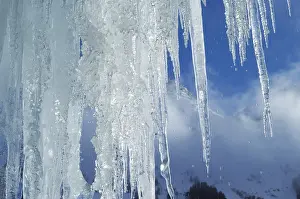 Icicles Close Up Prints: Icicles