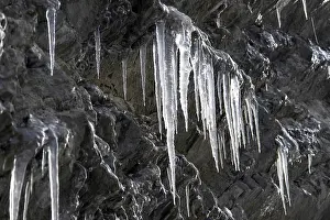 White Ice Formation Prints: Icicles