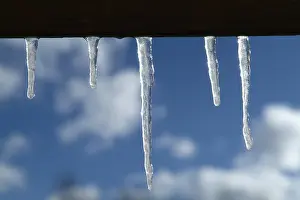 Icicle Formation Prints: Icicles