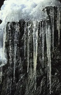 Black Forest Winter Scene Prints: Icicles in front of an escarpment