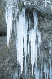 Icicles On Rock Face Prints: Icicles on a rock face