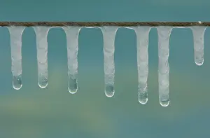 Environmental Protection Tips Prints: Icicles in thaw