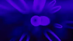 Futuristic Computer Graphic Prints: This image features a vivid 3D render of abstract