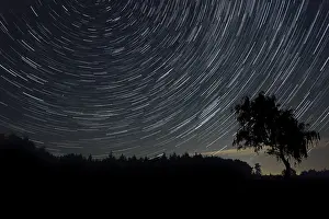 Motion Blur Photography Prints: An image of a nice star trails background