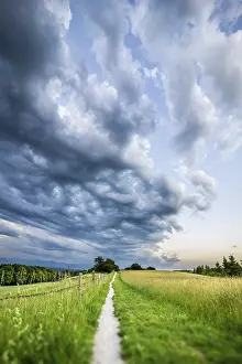 Morning Light Atmosphere Prints: An image of a path to the evening sky