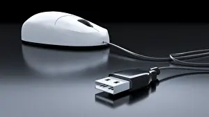 Computer Mouse Prints: An image of a typical computer mouse