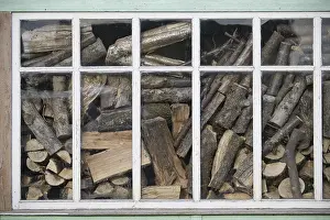 Empty Forest Landscape Prints: Indoor environment featuring a window