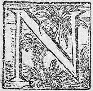 Historic American Illustration Prints: Initial or an initial N, decorative initial letter