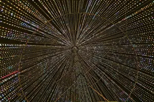 Images Dated 20th January 2024: Inside the illumi tree, Light Show Print
