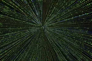 Deserted City At Night Prints: Inside the illumi tree, light show