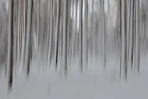 Blurred Motion Nature Photography Prints: Intentional camera movement (ICM)