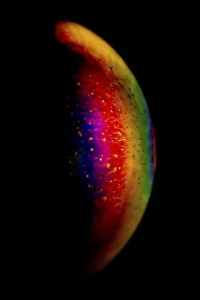 Multicoloured Soap Bubbles Prints: Interference of equal thickness
